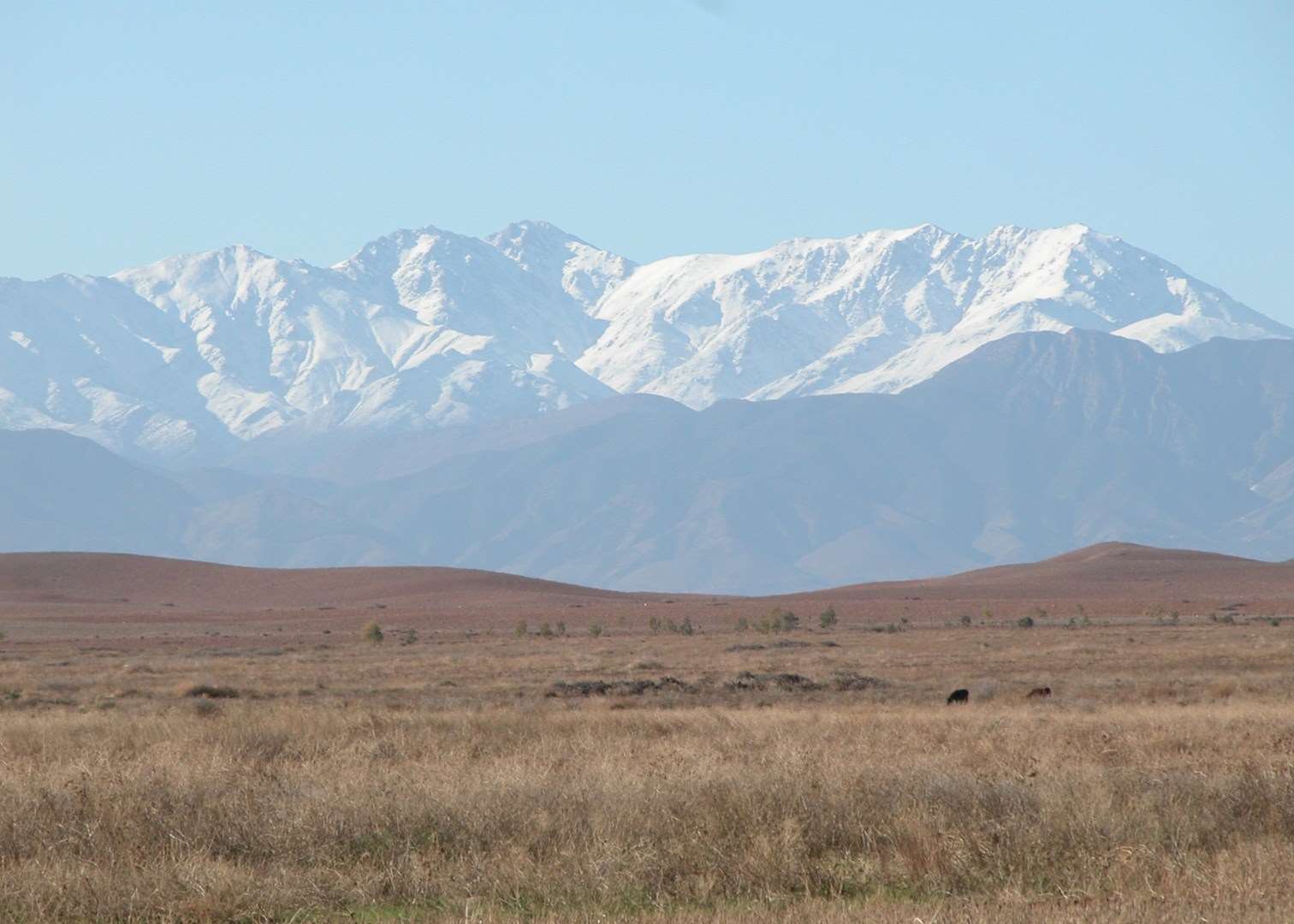 View of the High Atlas Mountains from Marrakech View of the High Atlas Mountains from Marrakech