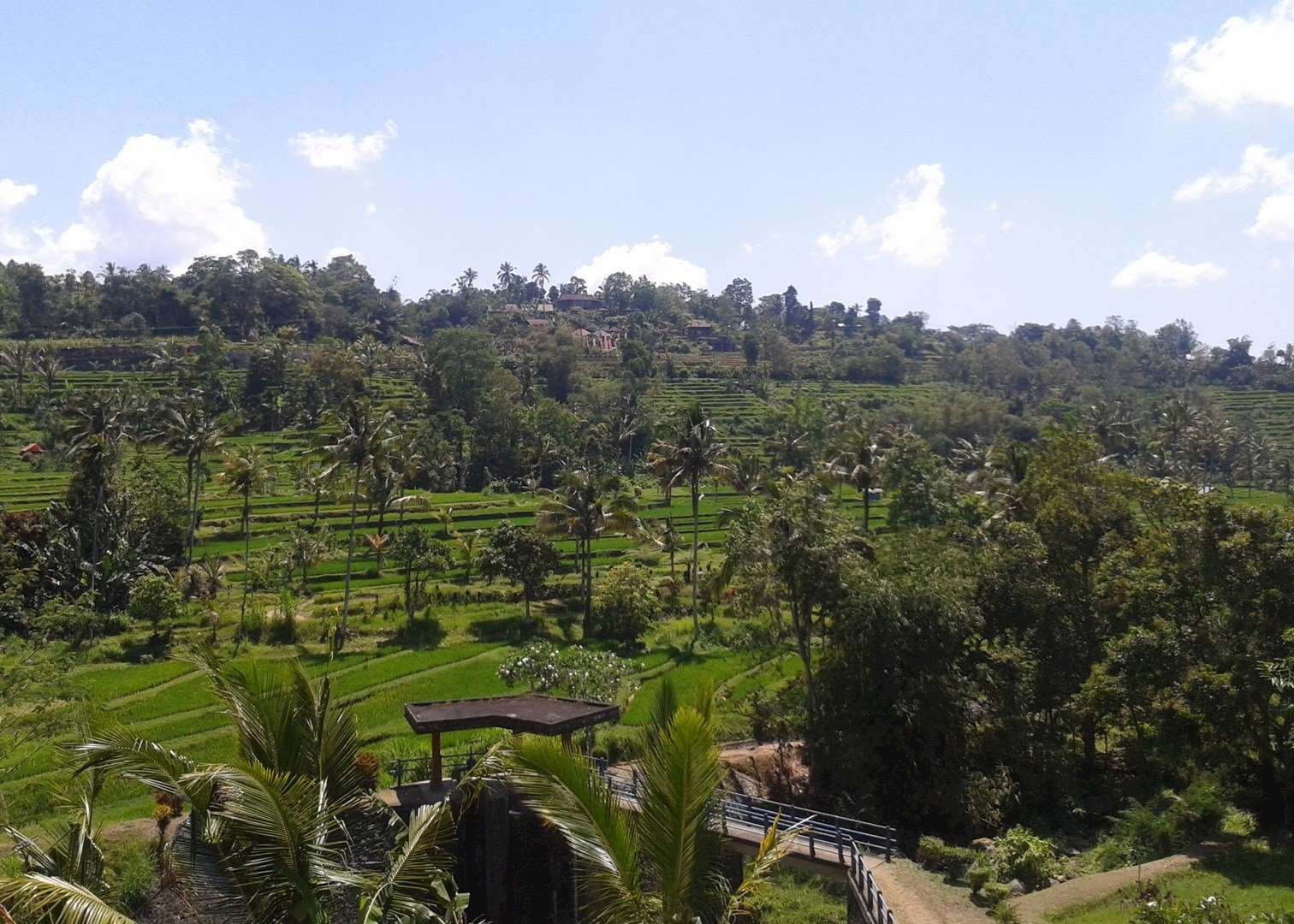 Jatiluwih Ubud Jatiluwih Ubud