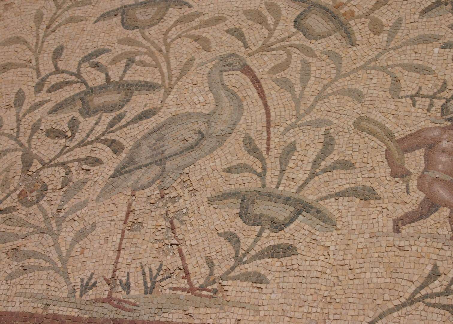 Mosaic, Villa Silleen, Leptis Magna