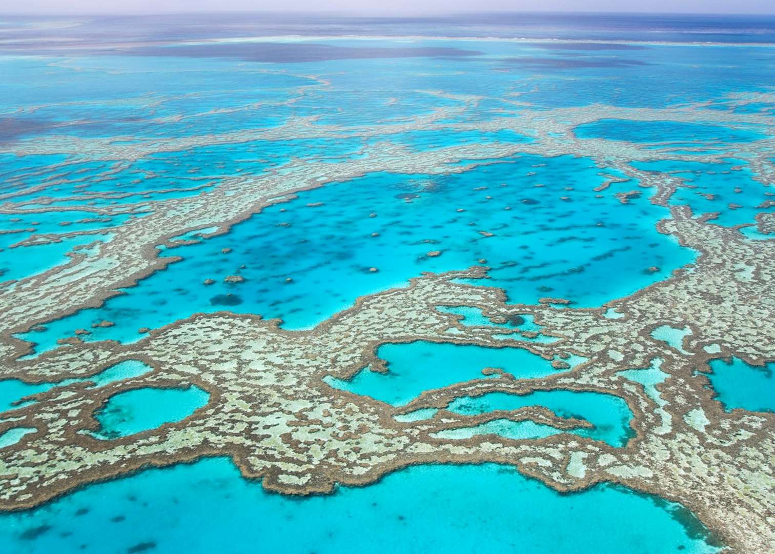 Hardy Reef