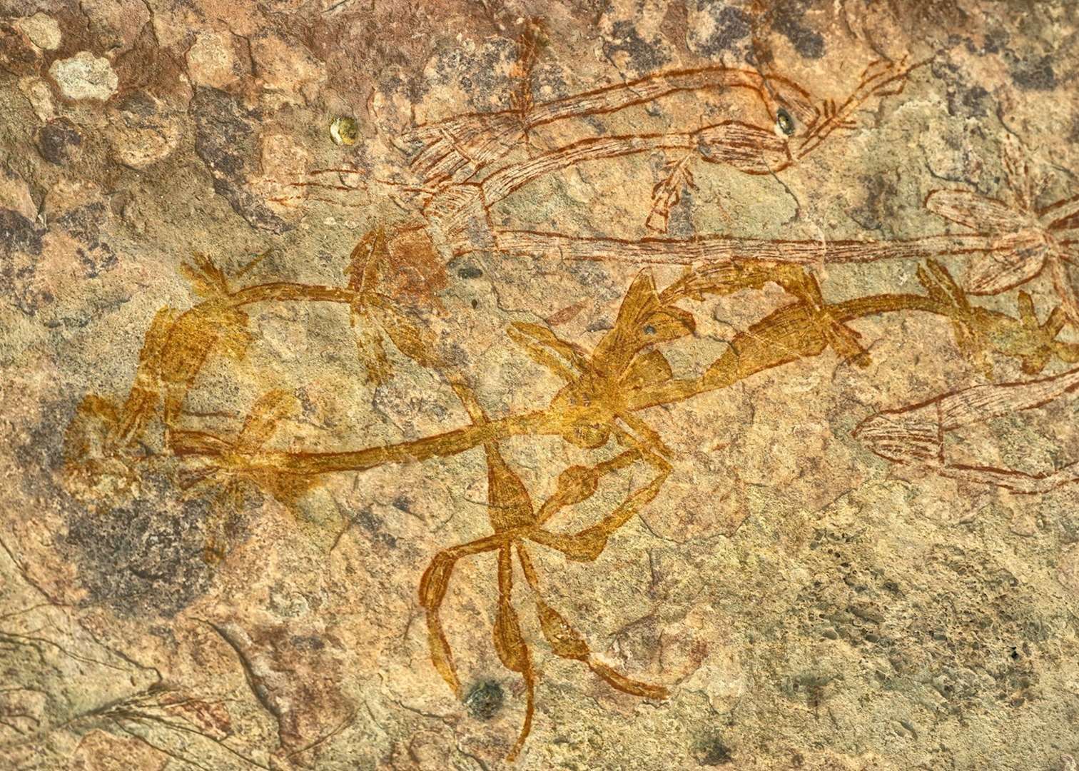 Aboriginal rock art, Kakadu National Park