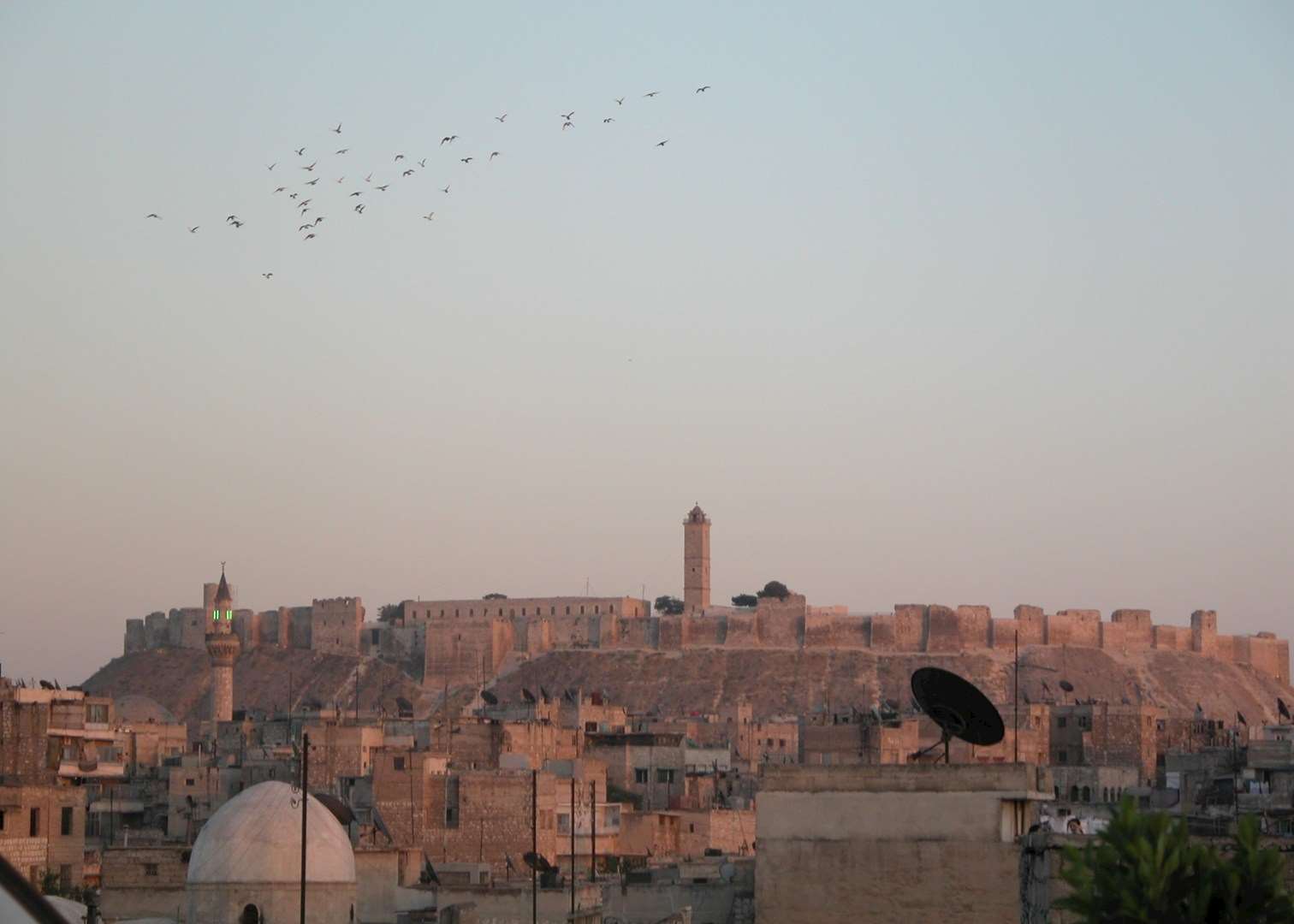 The Rooftops Of Old Aleppo And The Citadel