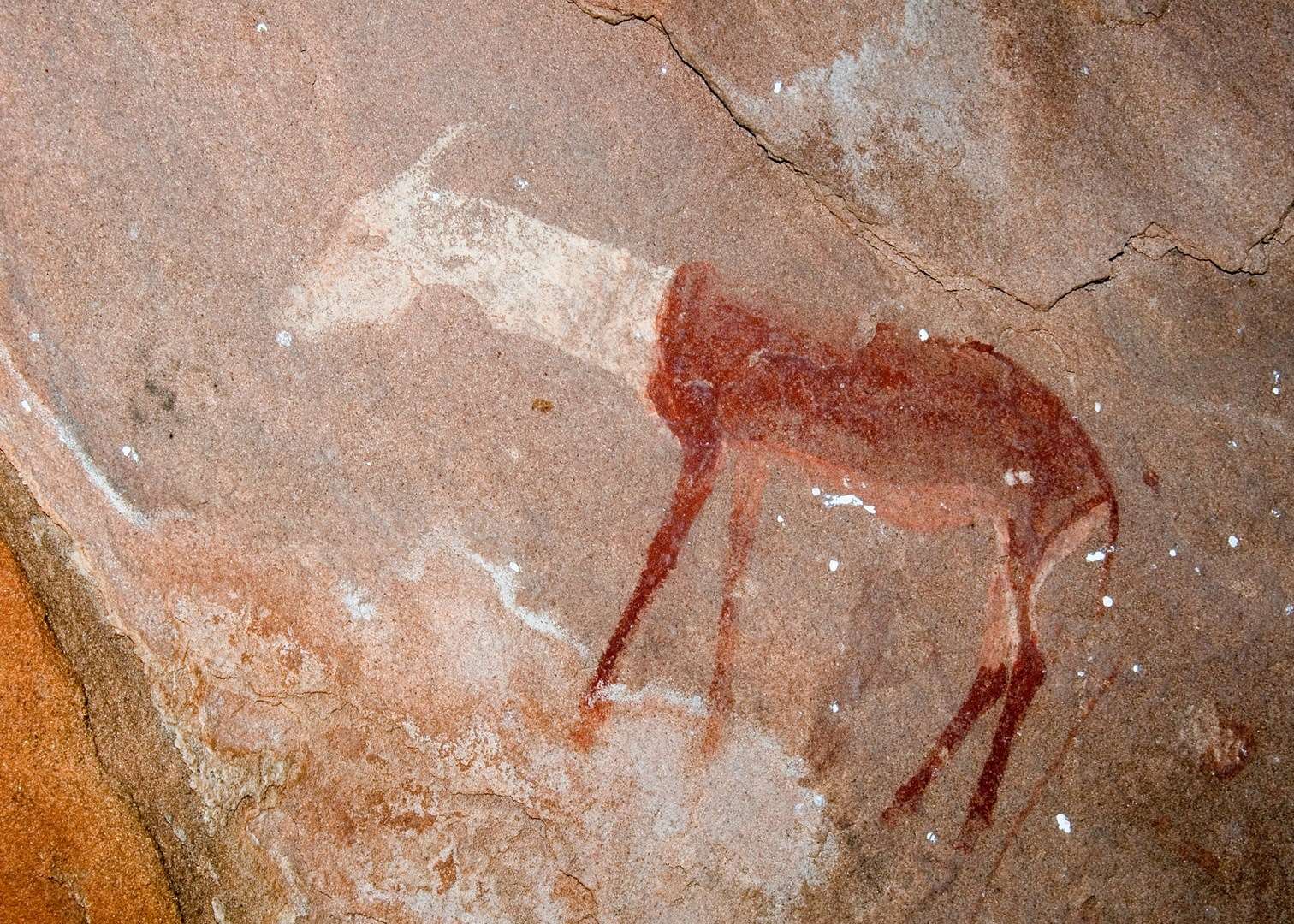 Engravings found in the Skeleton Coast area of Namibia