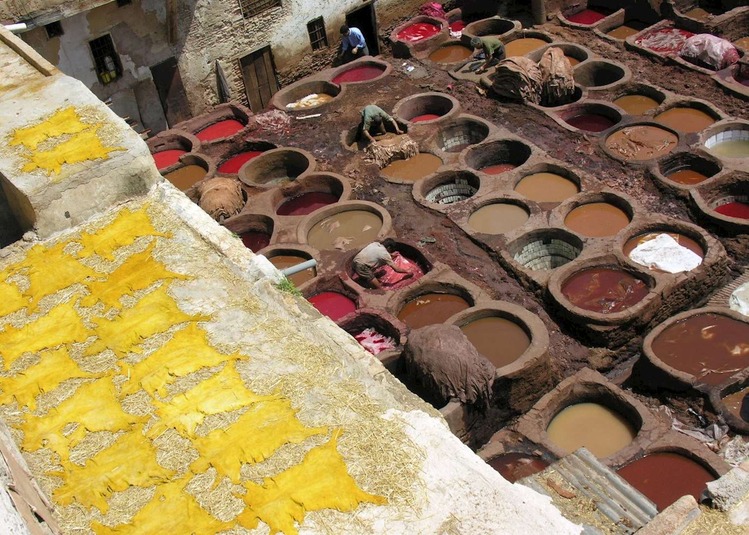 Tannery in Fez