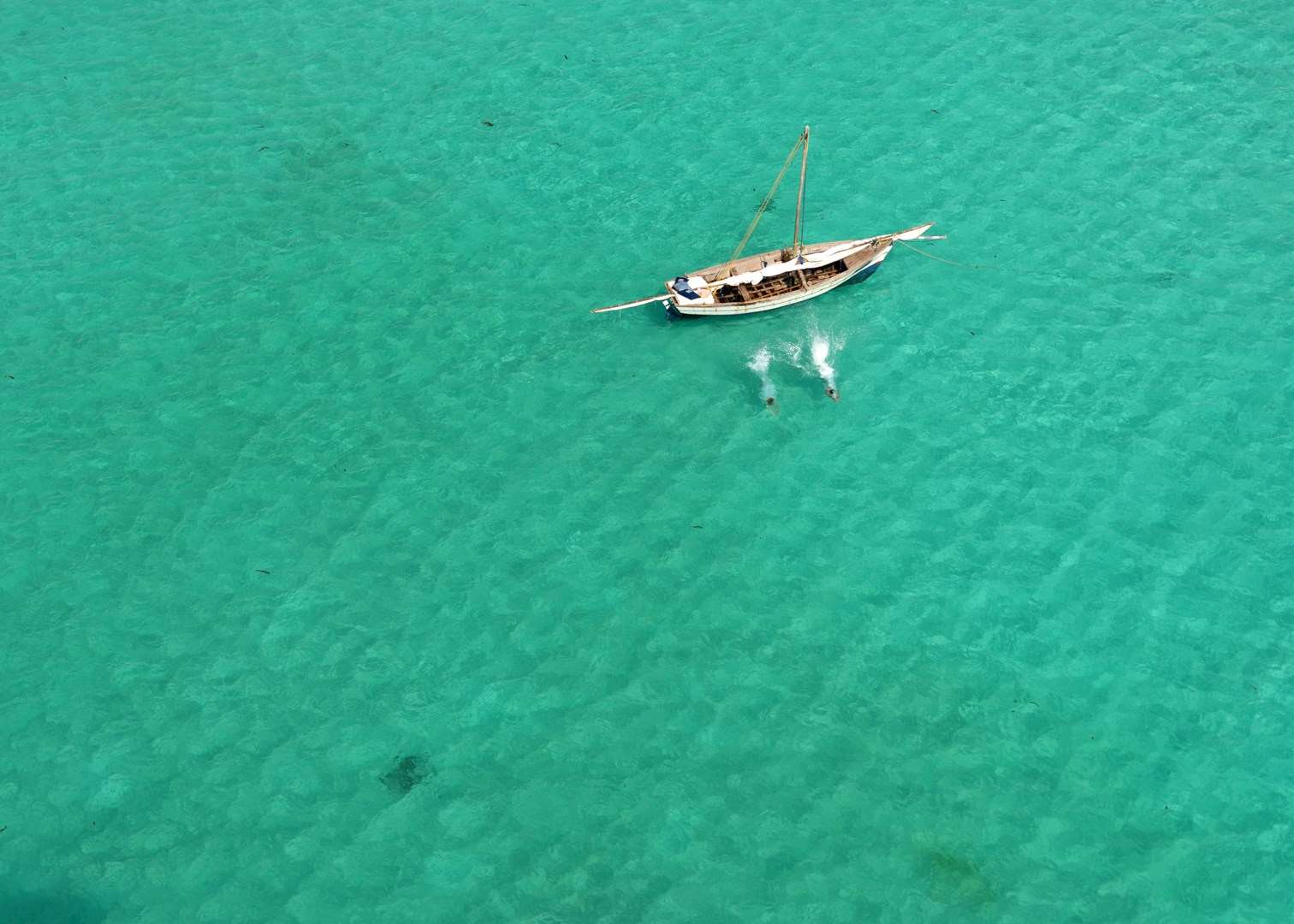 Swimming from the dhow