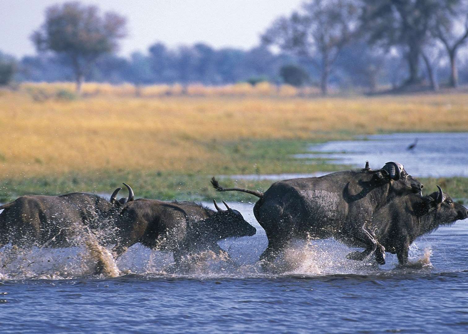 Mudumu and Mamili National Park, Namibia