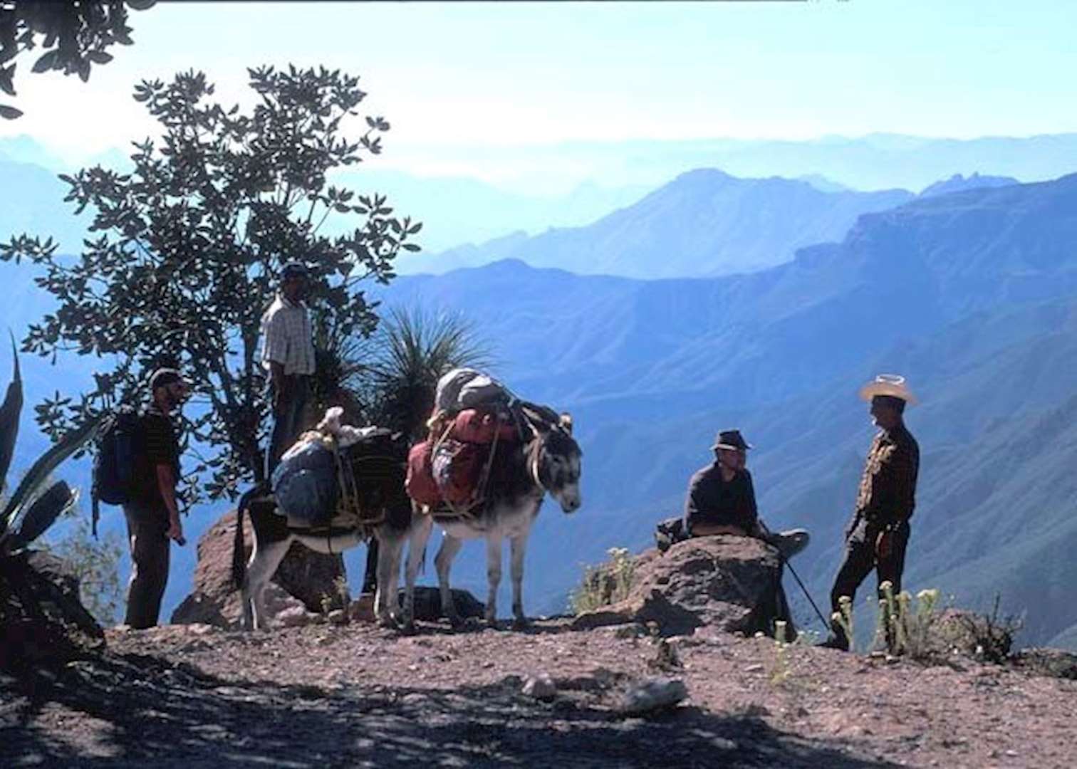 Copper Canyon, Mexico