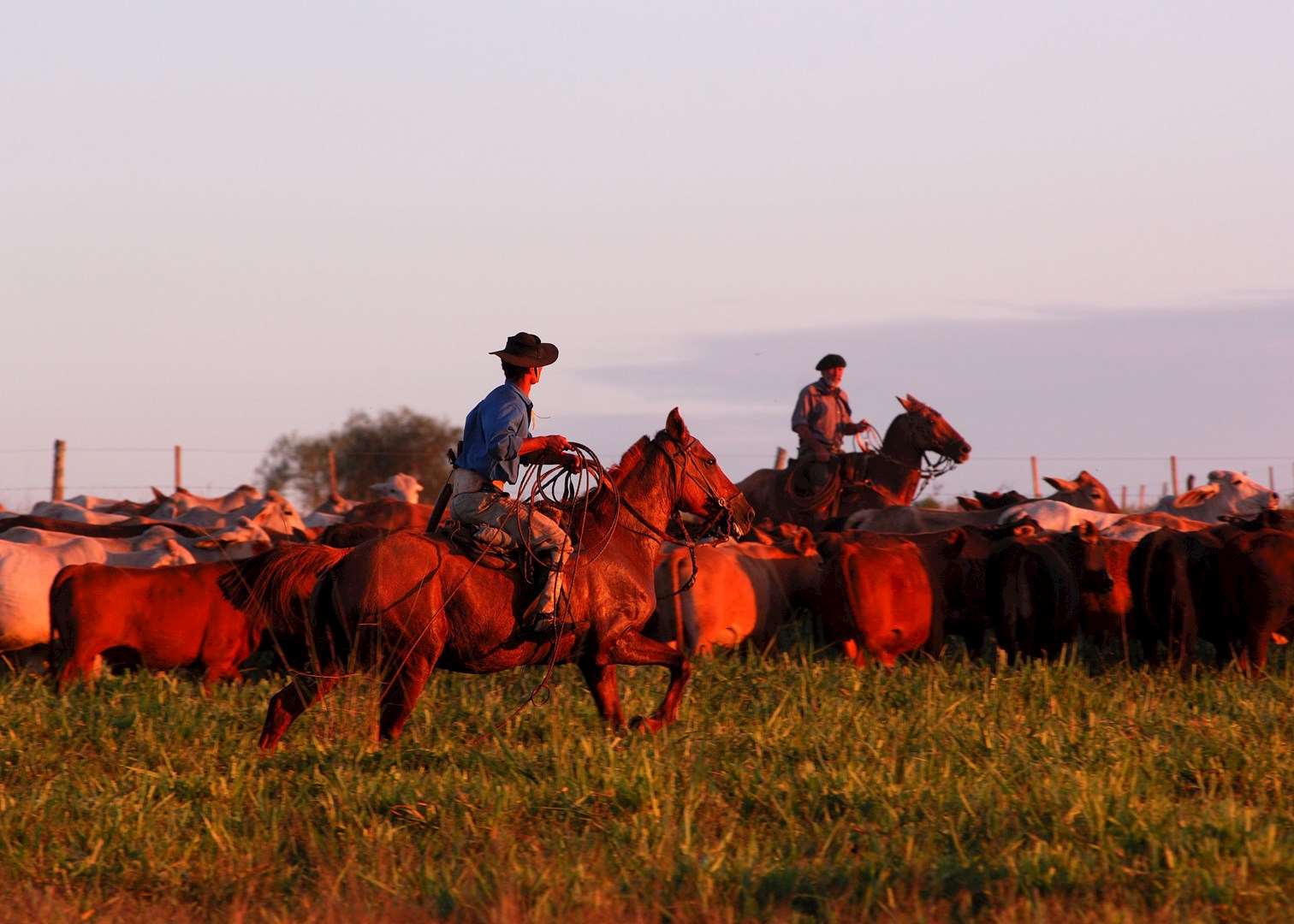 Gauchos at work at Estancia Santa Cecilia