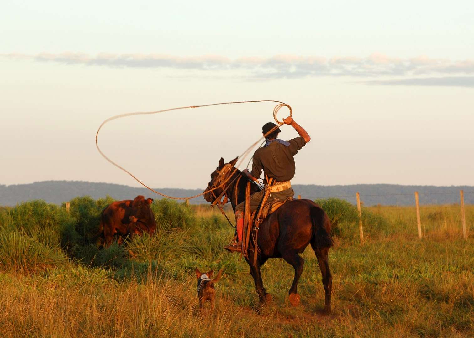 Gauchos at work at Estancia Santa Cecilia