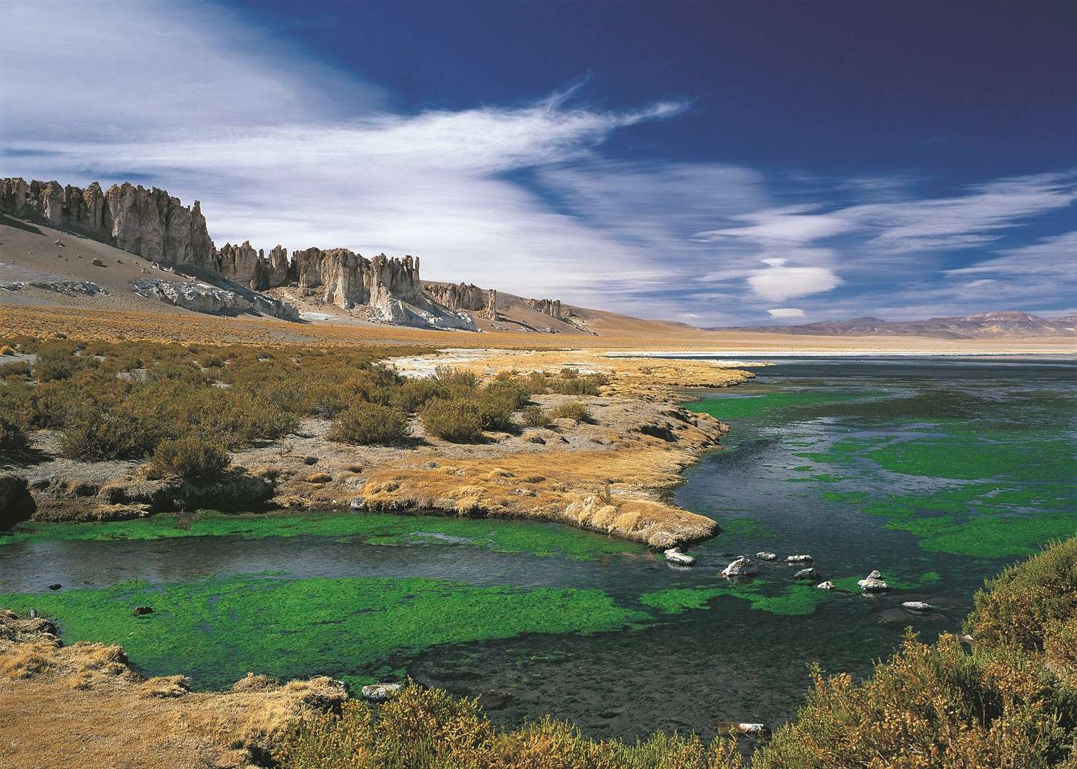 Salar de Tara, San Pedro de Atacama
