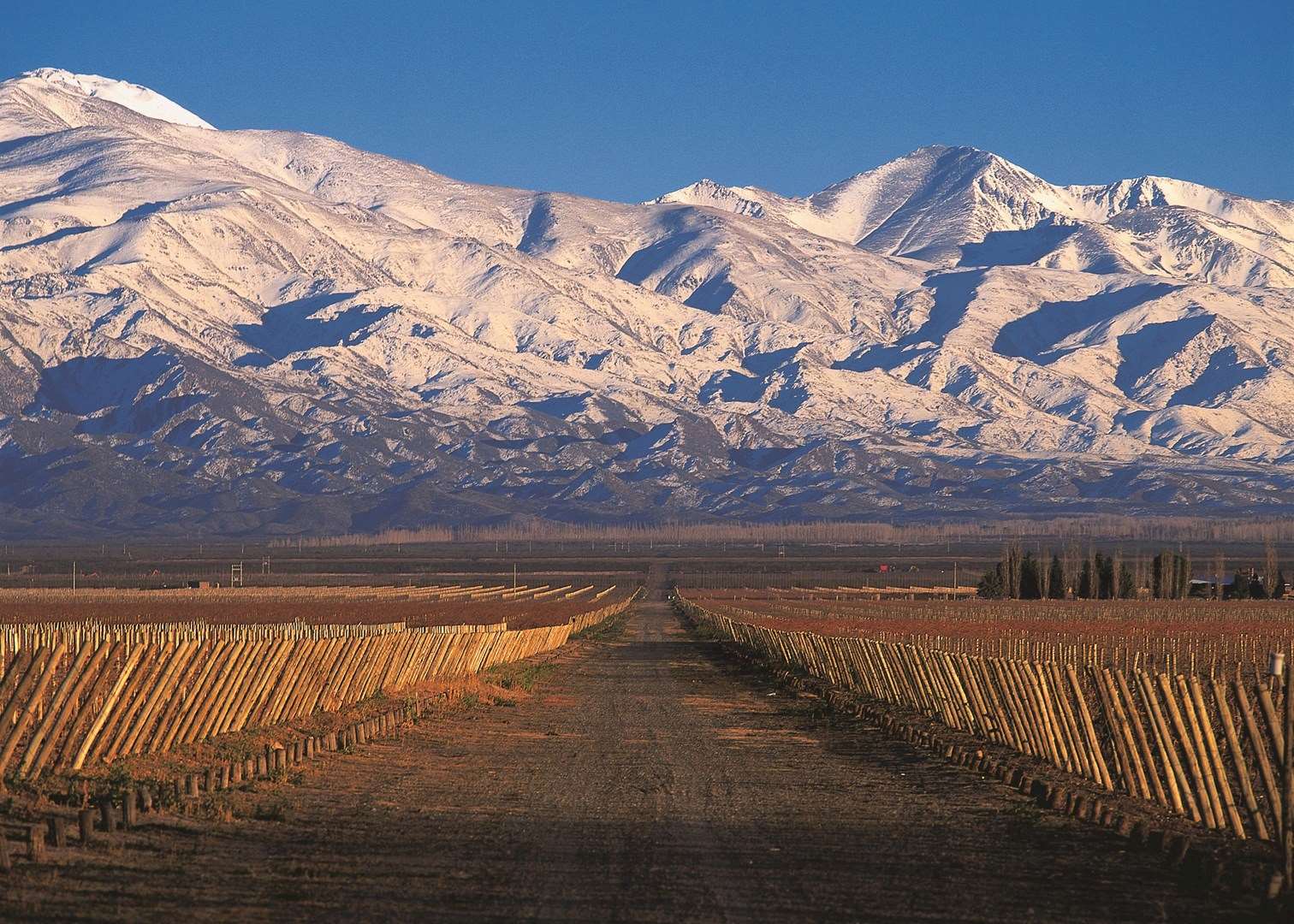 Argentina's Andes