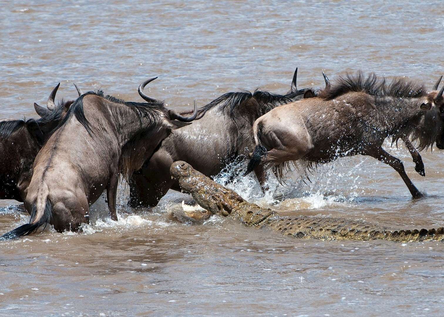River Crossing