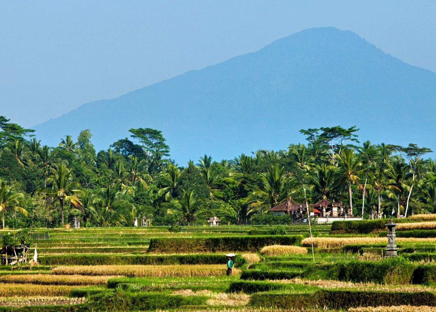 Paddy fields and Mount Agung, Bali, Indonesia