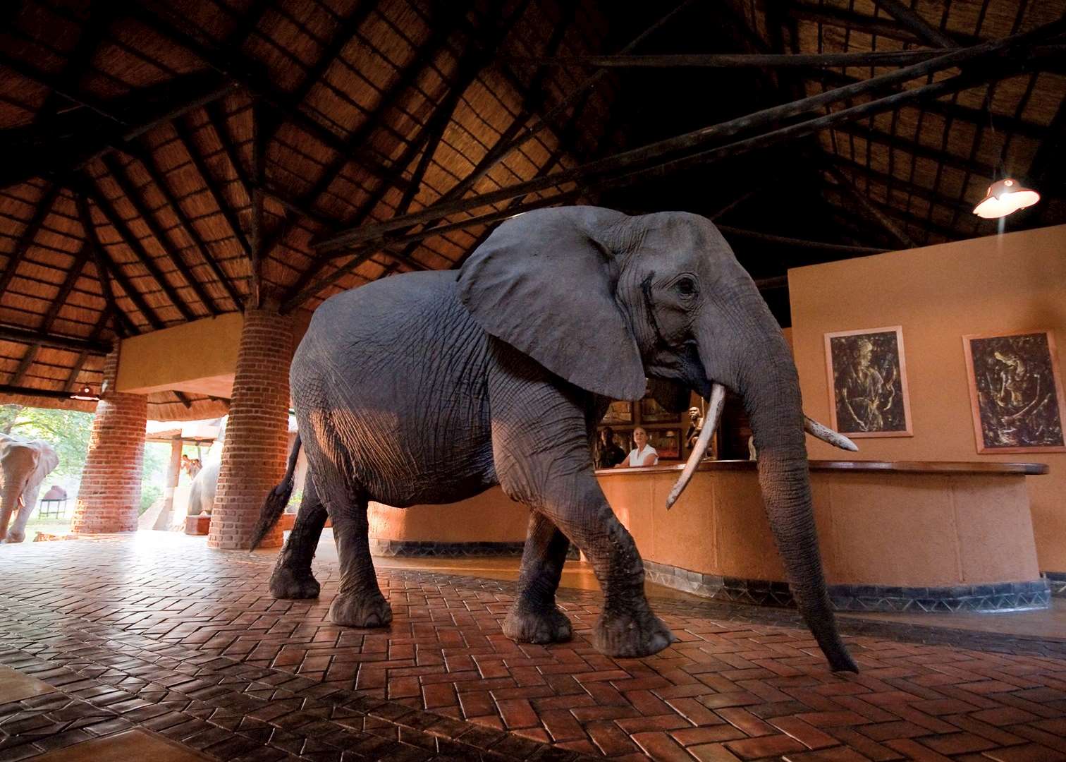 Mfuwe Lodge, South Luangwa National Park
