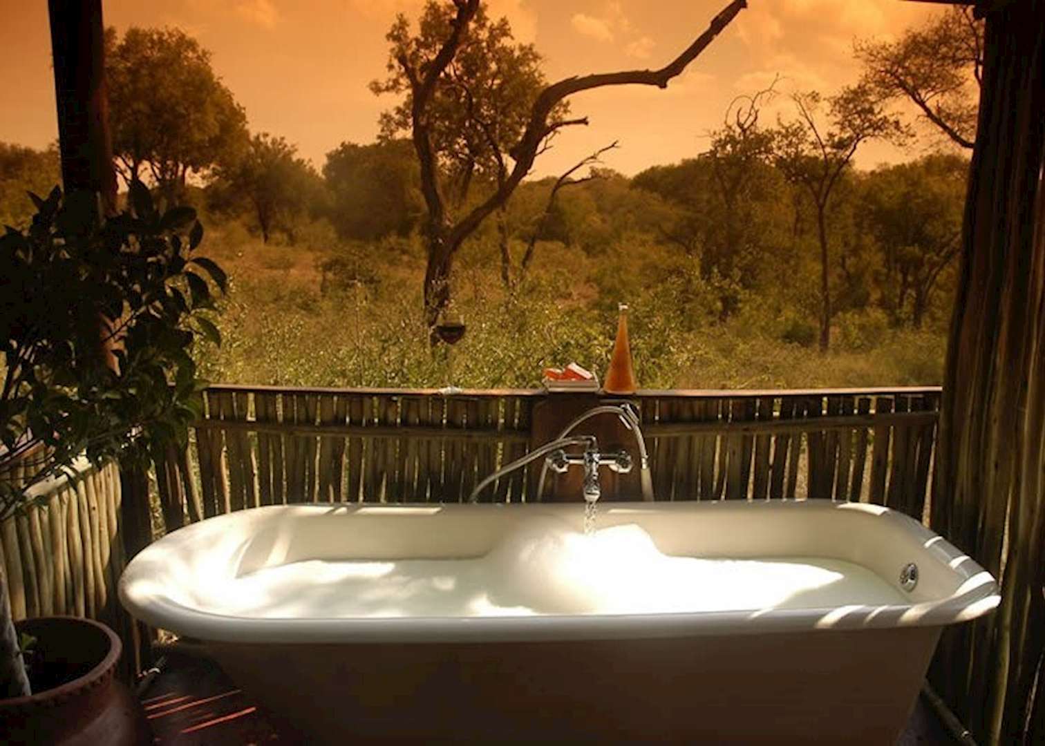 Chapungu Luxury Tented Camp, Thornybush Private Game Reserve