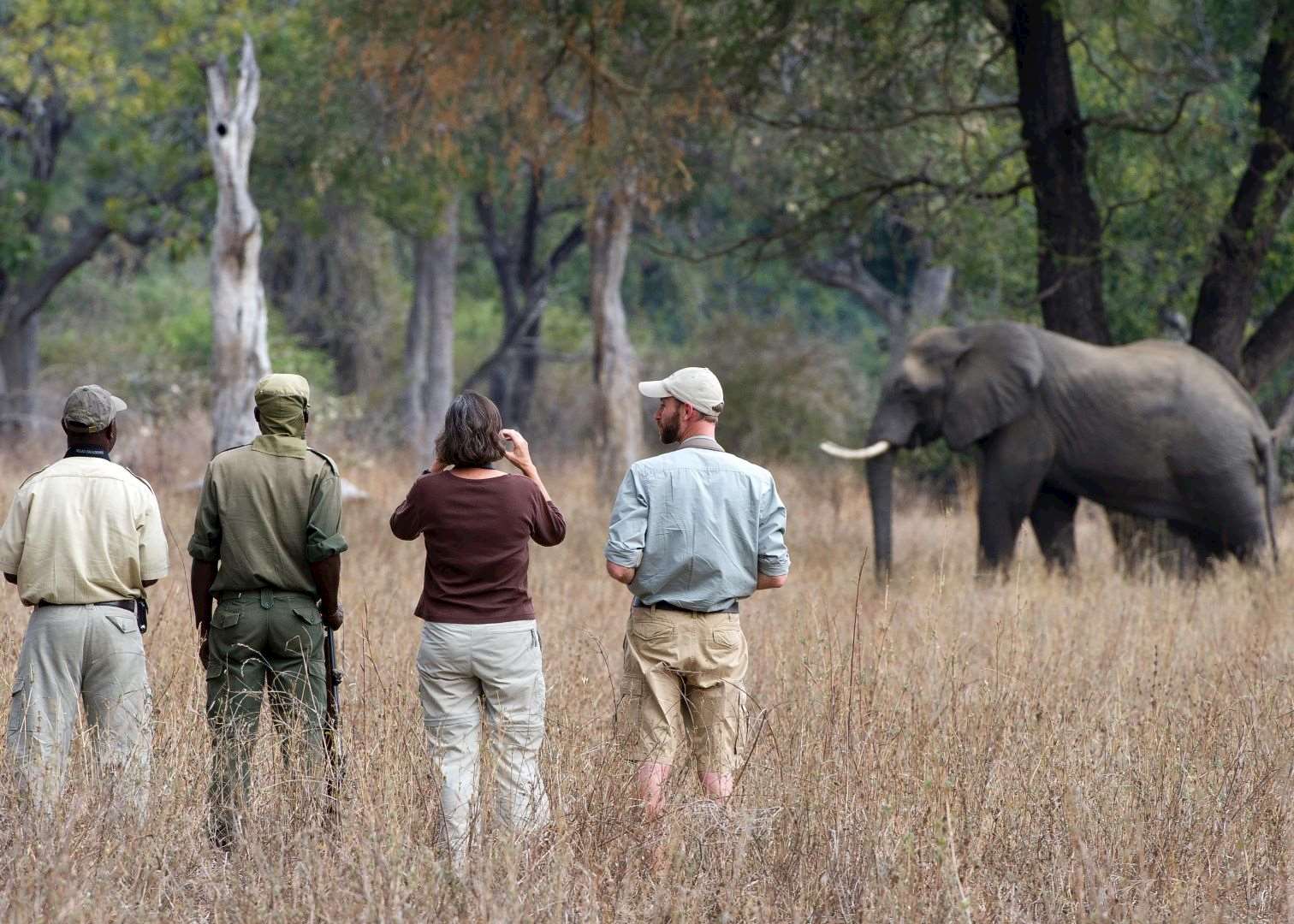 Walking safari in the Luangwa Valley