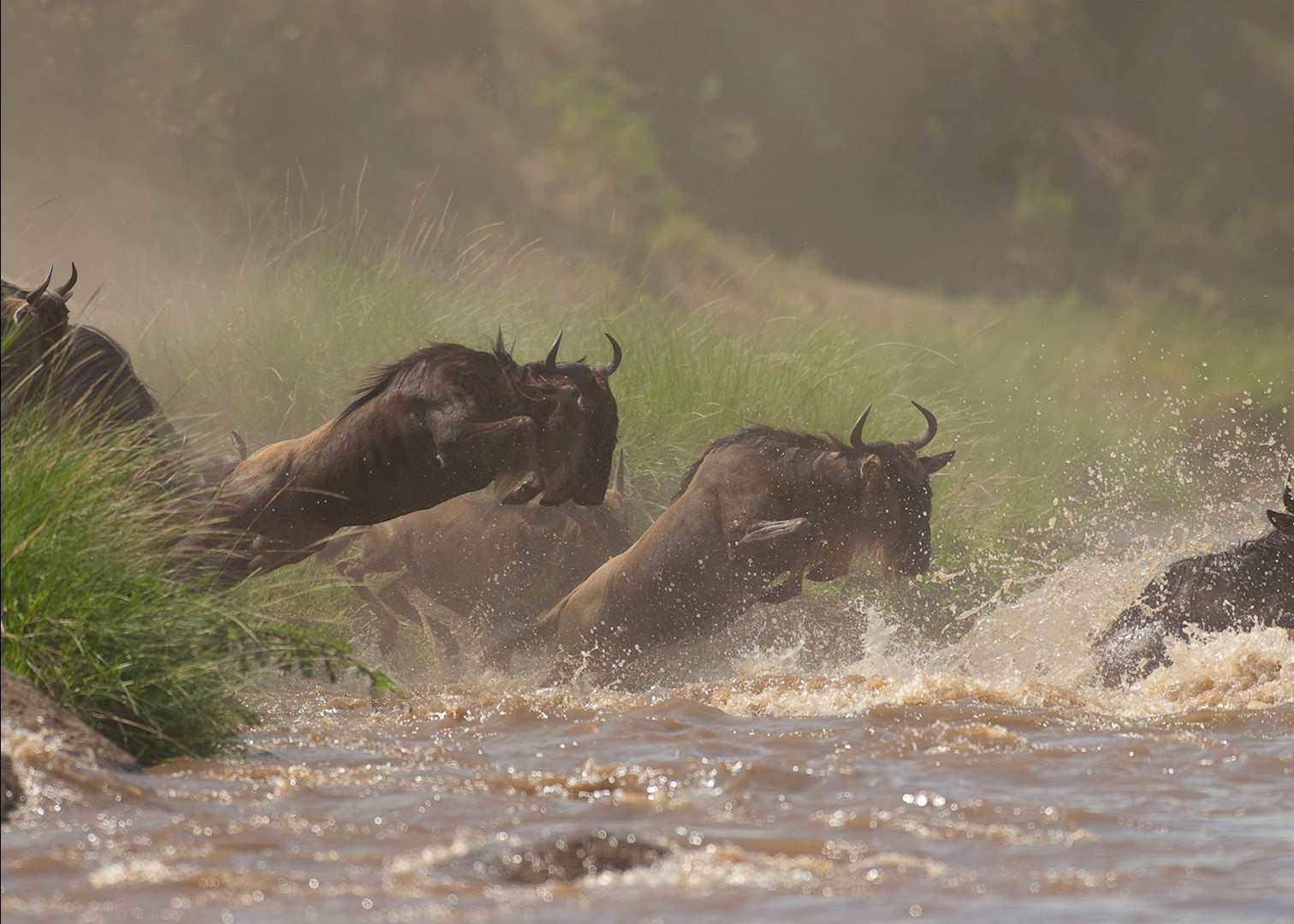 River crossing, seen from Offbeat Mara Camp