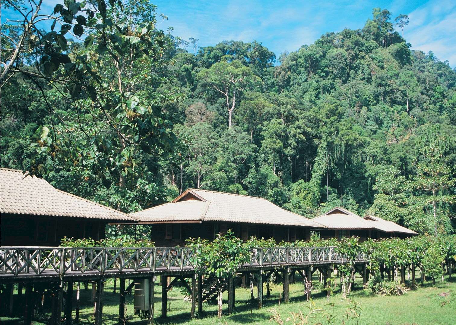 Jungle view chalets, Borneo Rainforest Lodge, Danum Valley