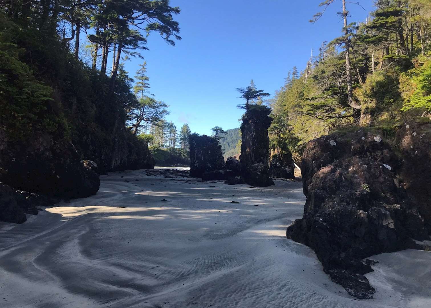 Sea Stacks at San Josef Bay, north Vancouver Island