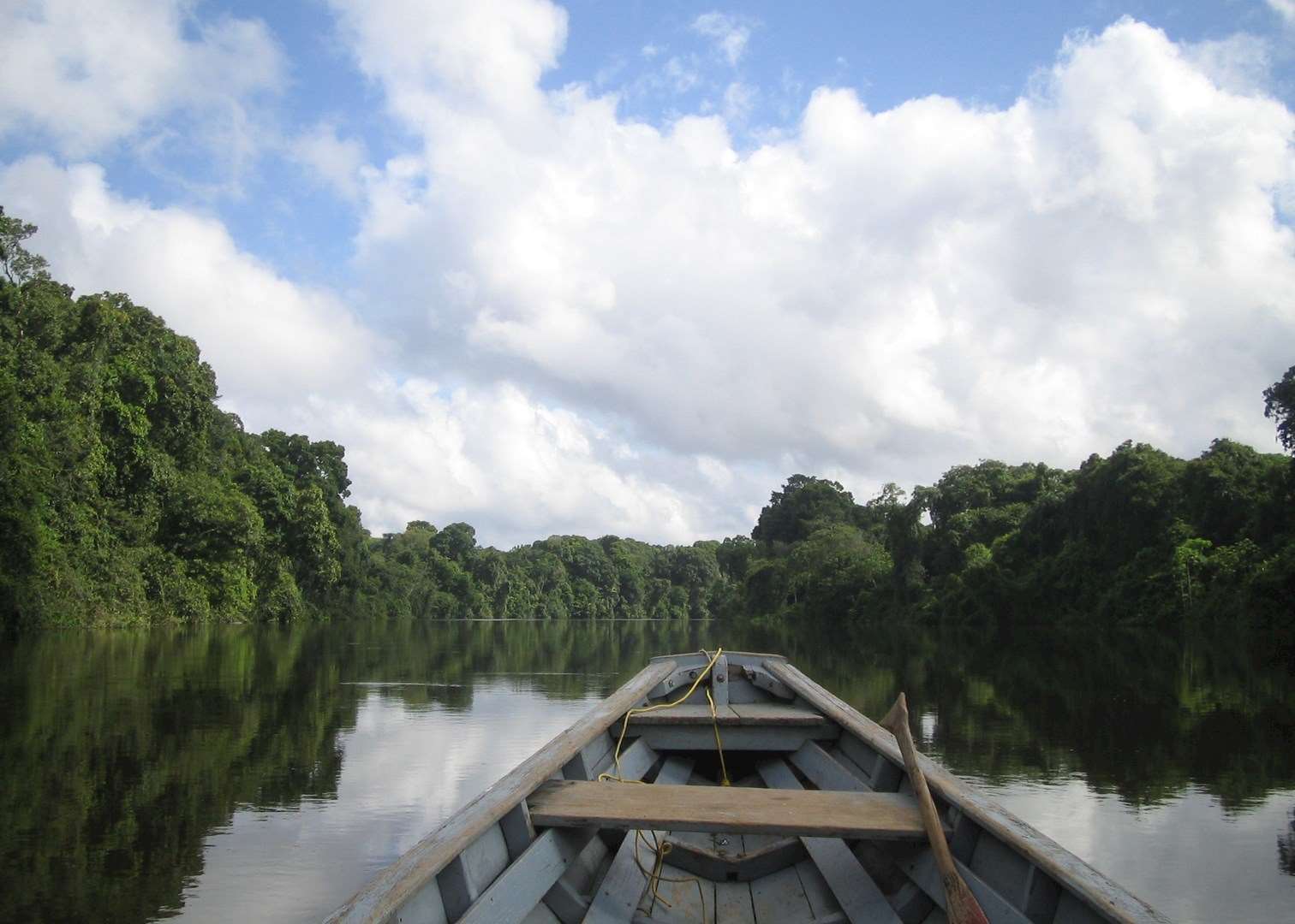 Exploring the rainforest, Iwokrama, Guyana