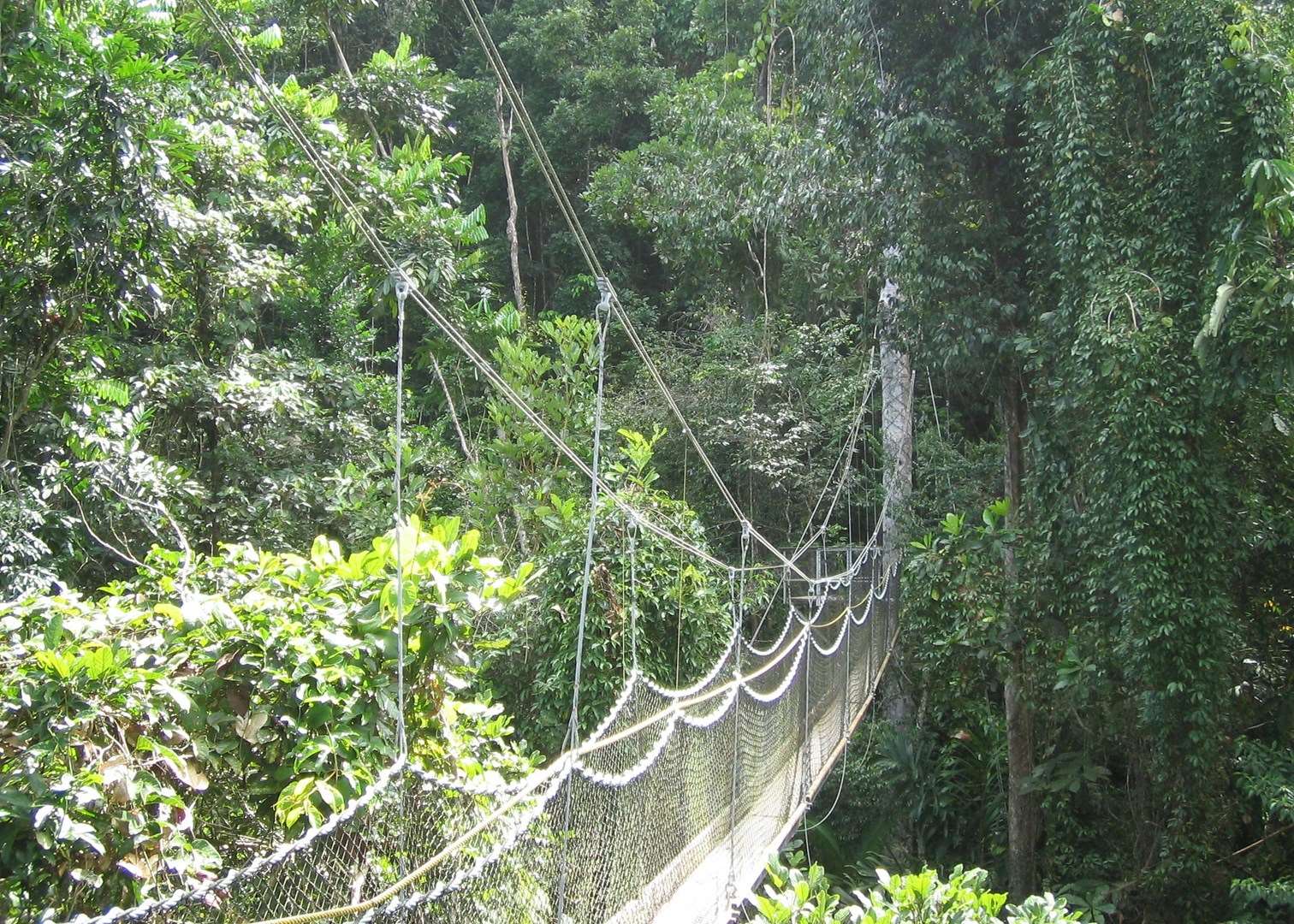 Iwokrama Canopy Walkway, Guyana