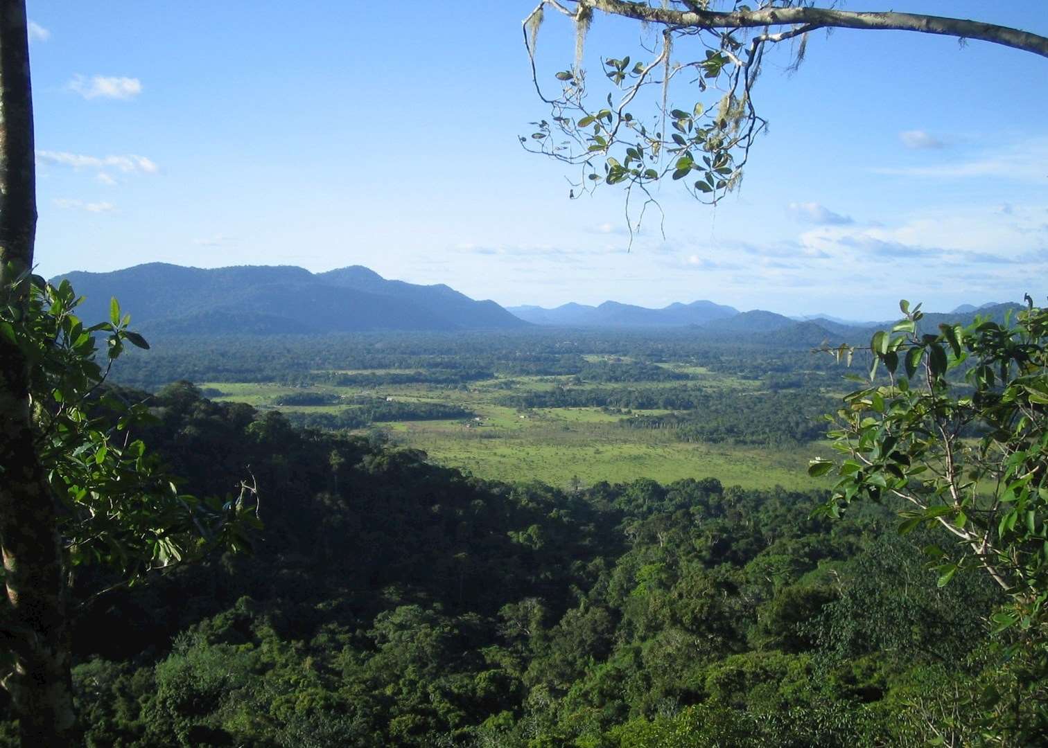 View from Turtle Mountain, Surama, Guyana
