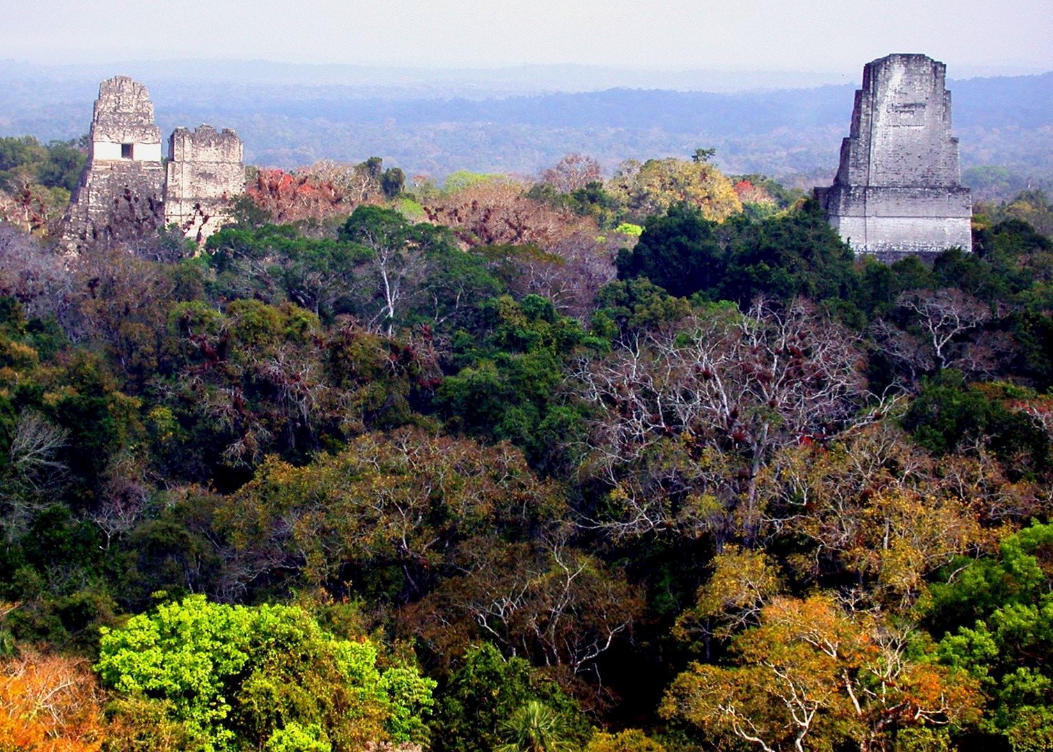 Visit Tikal Amp El Pet 233 N On A Trip To Guatemala Audley Travel