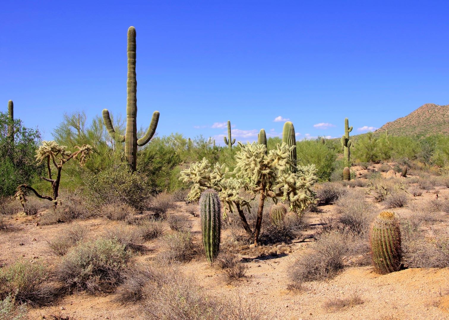 Arizona and New Mexico Discovered Self-Drive | Audley Travel