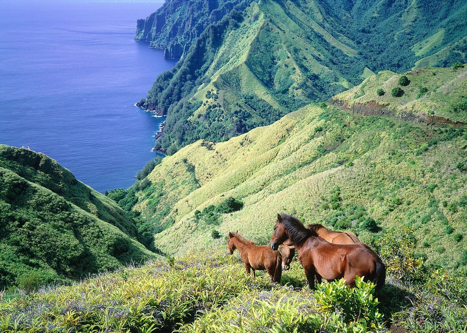 Visit Marquesas Islands French Polynesia Audley Travel