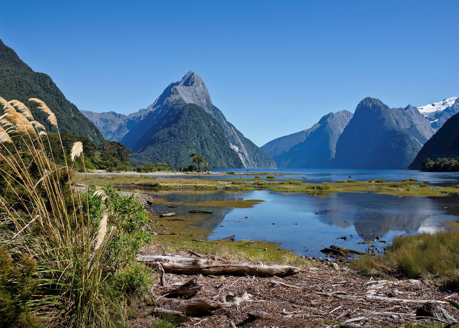 New zealand ответы. Заповедник Фьордленд новая Зеландия. Милфорд новая Зеландия. Фьорд Милфорд-саунд в новой Зеландии. Бухта Милфорд.