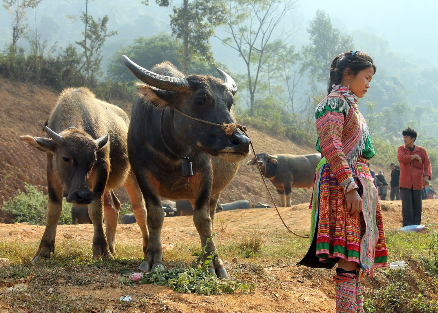 Adventurous Vietnam | Audley Travel