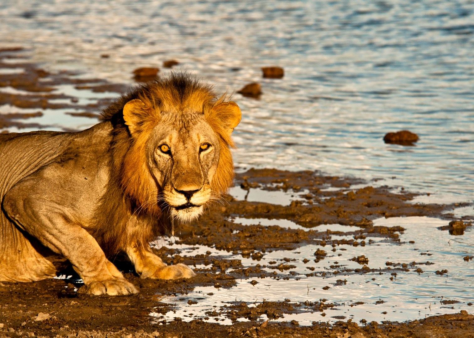 Visit Selous Game Reserve in Tanzania Audley Travel