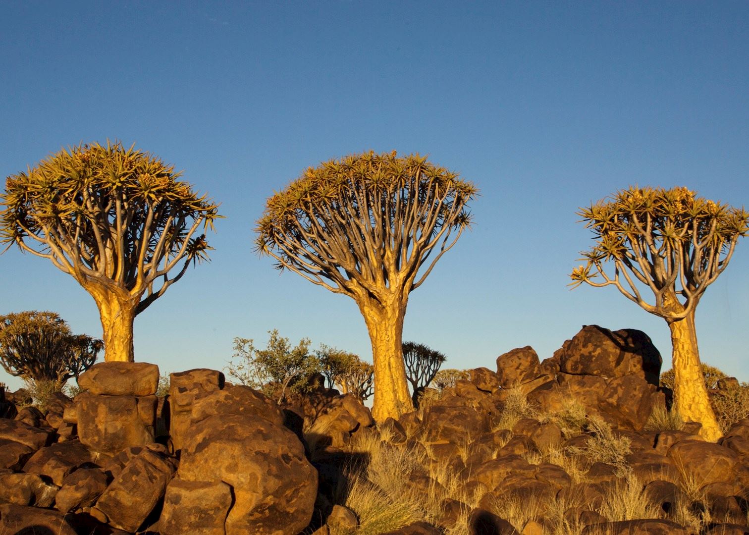 Visit Southern Kalahari on a trip to Namibia | Audley Travel