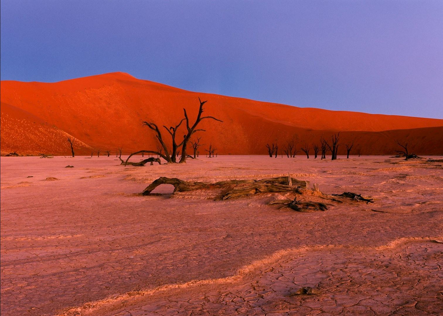 Sossus Dune Lodge | Audley Travel