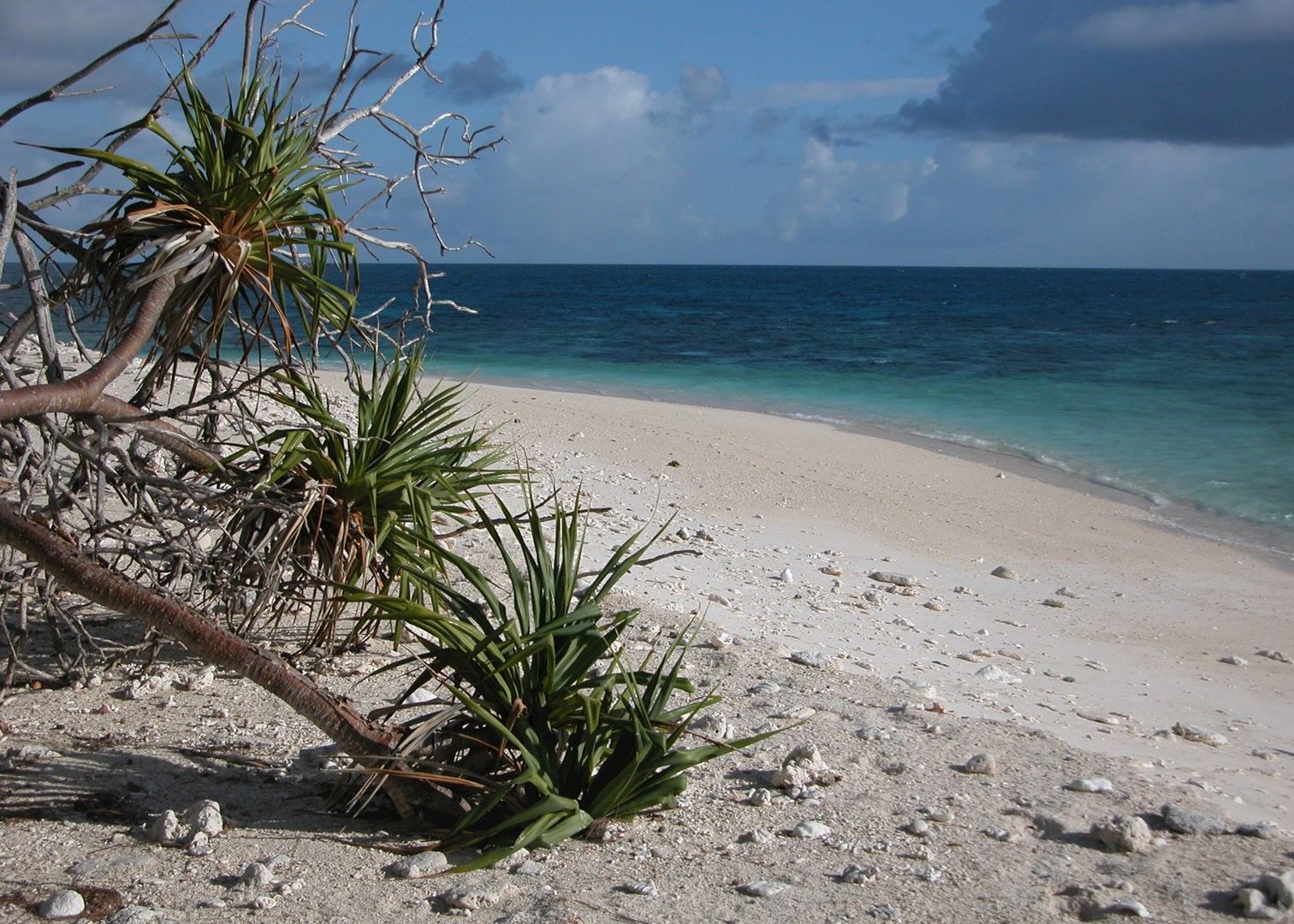 Visit Wilson Island on a trip to Australia Audley Travel