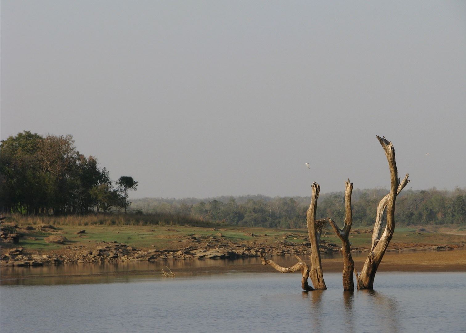 satpura national park Plan to visit satpura national park, india get details of location, timings and contact find the reviews and ratings to know better. satpura national park Plan to visit satpura national park, india get details of location, timings and contact find the reviews and ratings to know better.