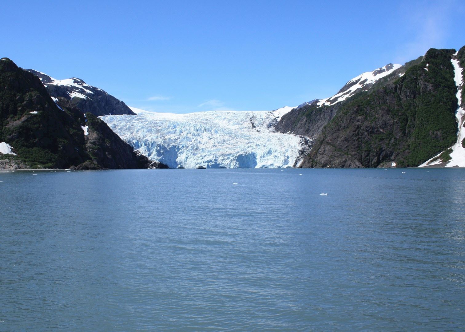 Kenai fjords national park cruise coupons