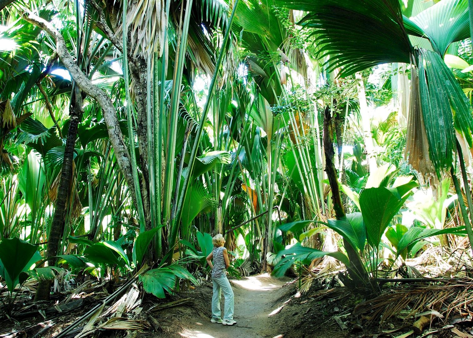 Visit Praslin on a trip to The Seychelles  Audley Travel