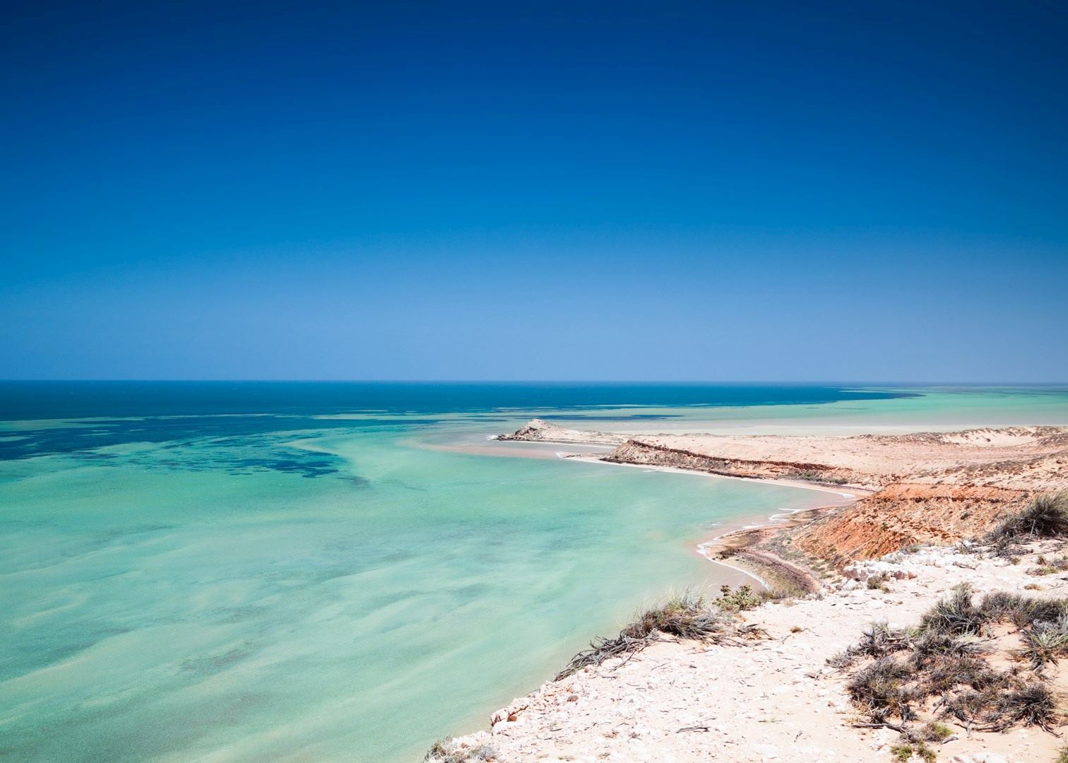 Visit Shark Bay on a trip to Australia | Audley Travel