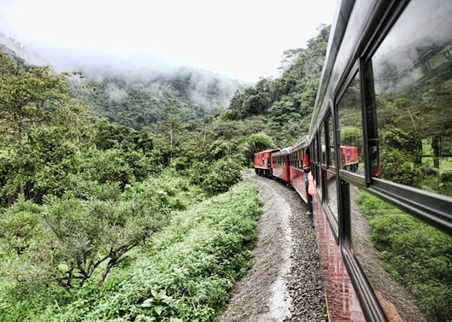 Tren Crucero, Ecuador