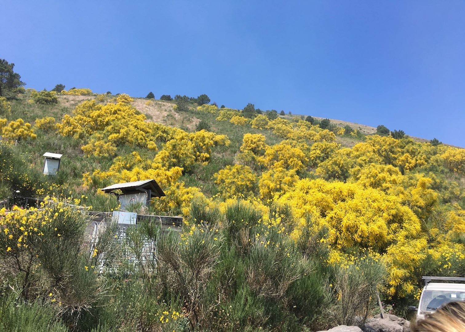 Mount Vesuvius and wine tasting Audley Travel