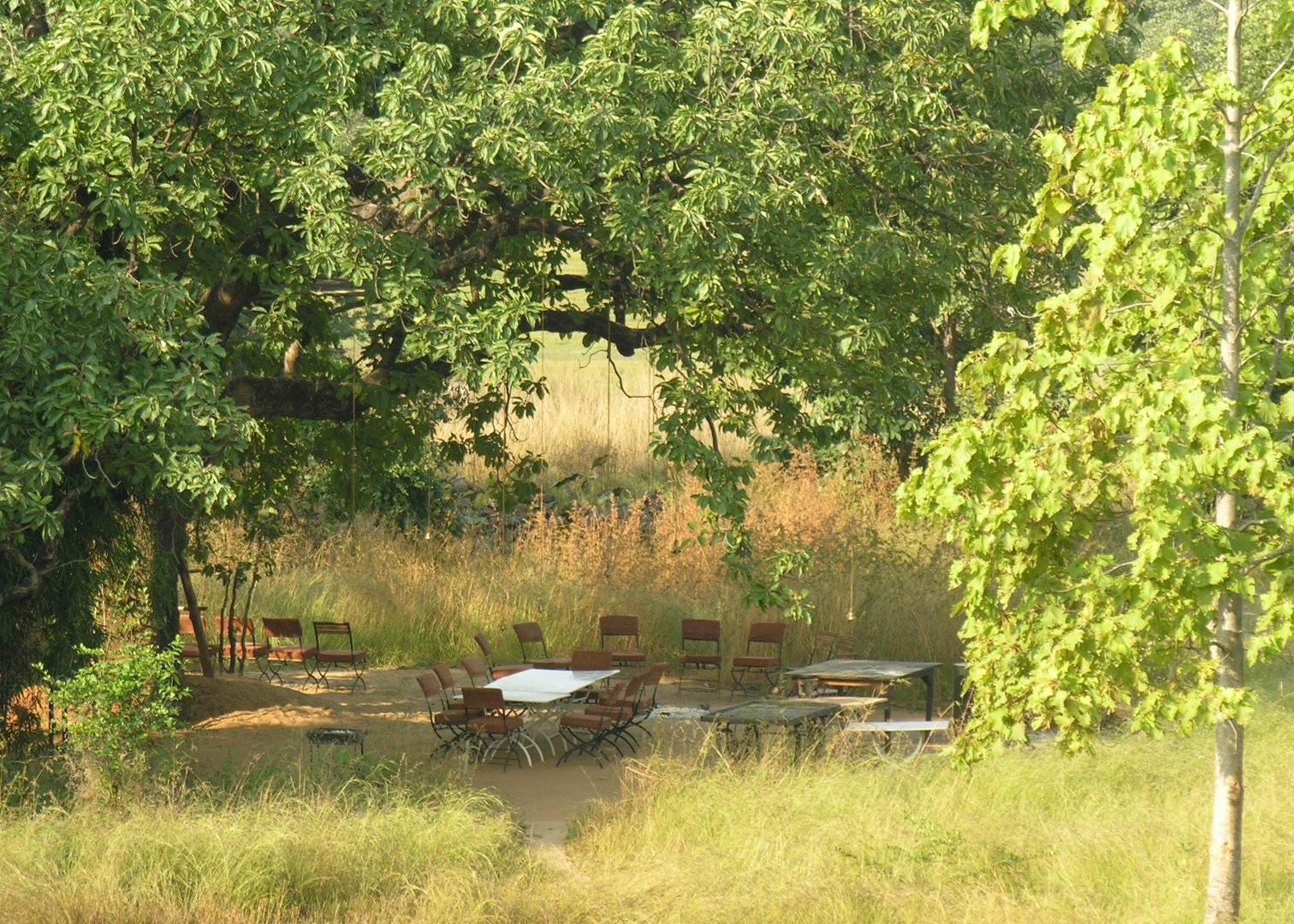 Audley Travel India Wildlife Audley Travel India Wildlife