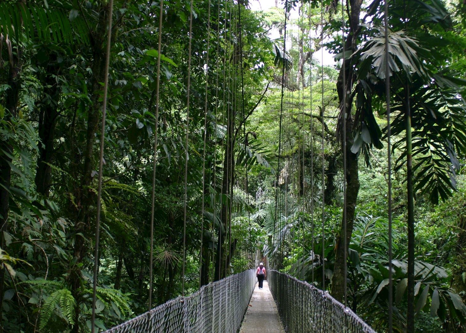 Arenal Hanging Bridges Natural History Tour Audley Travel