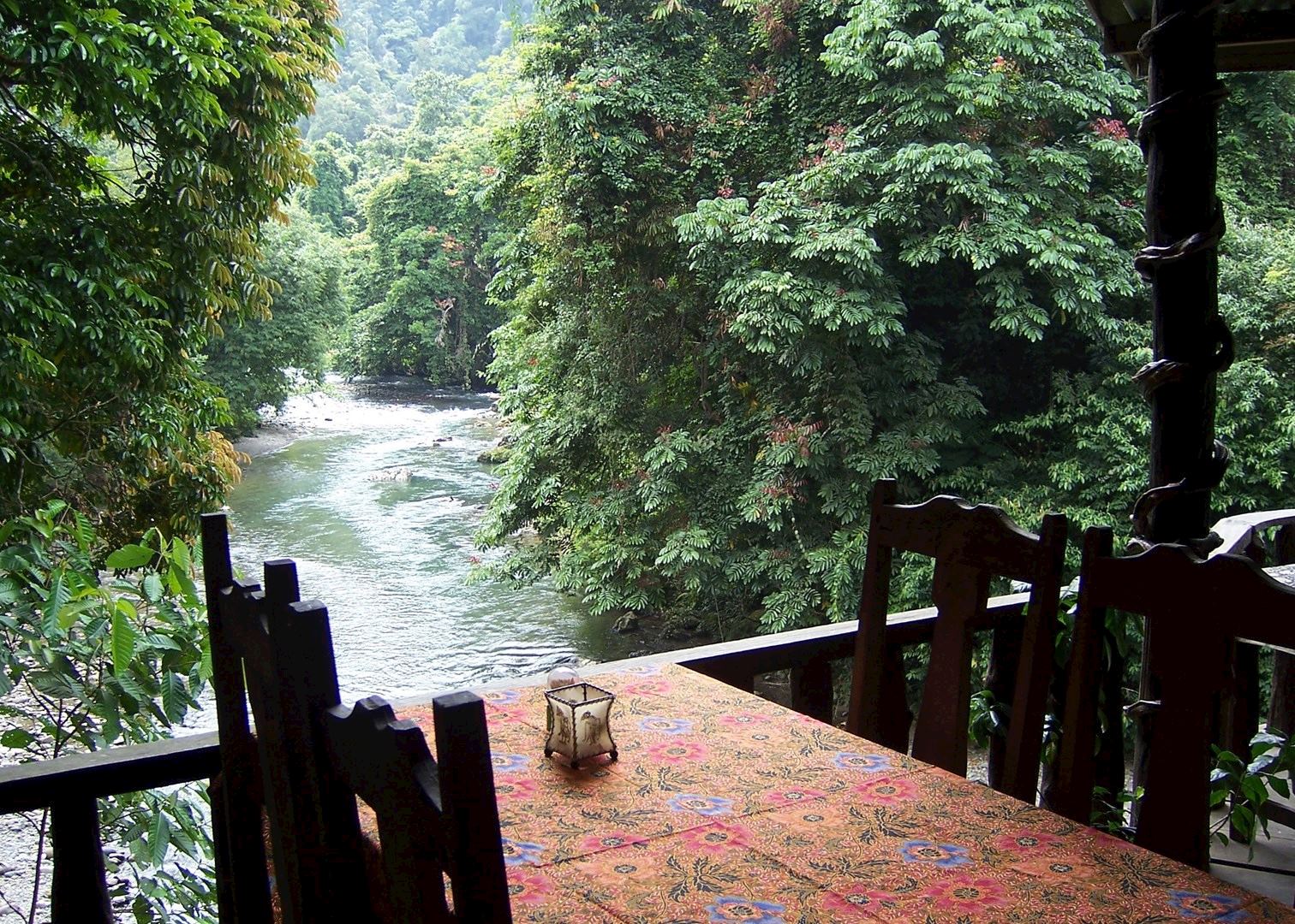 jungle lodge indonesia tangkahan hotels travel