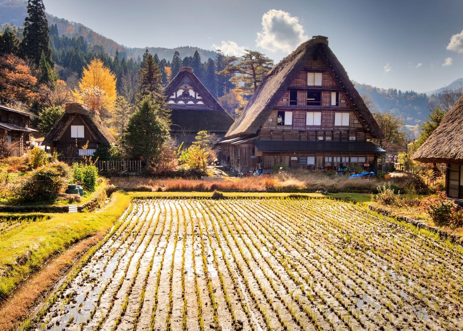 Visit Shirakawago on a trip to Japan Audley Travel