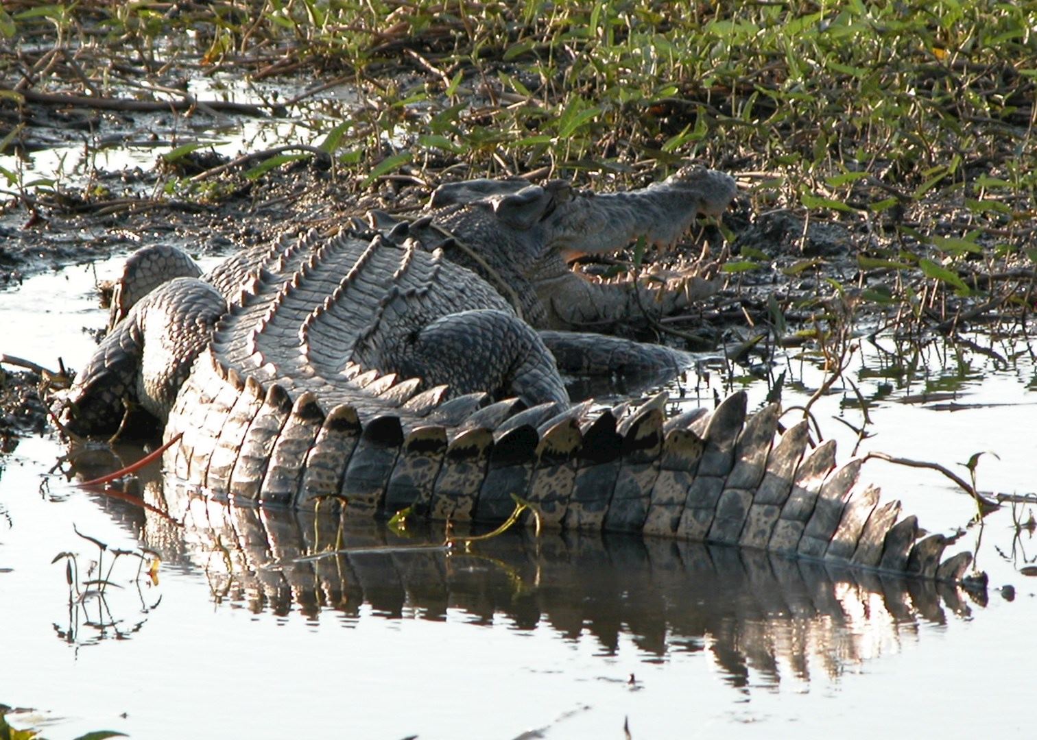 Visit Kakadu National Park In Australia Audley Travel