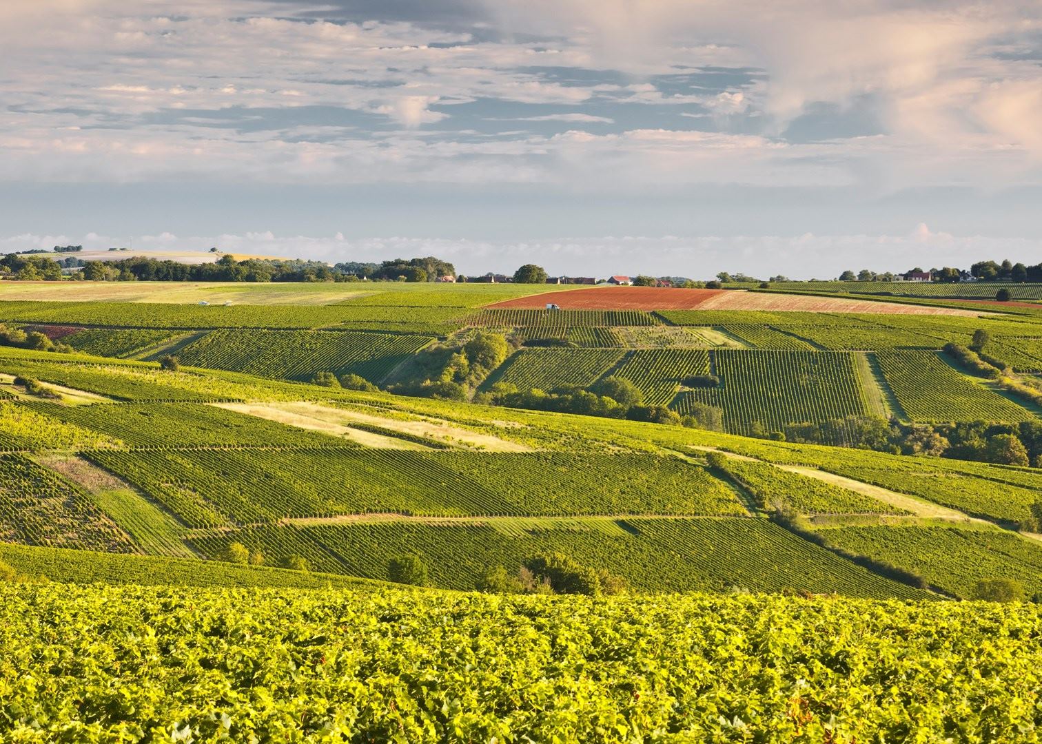 Loire Valley wine tour  Audley Travel