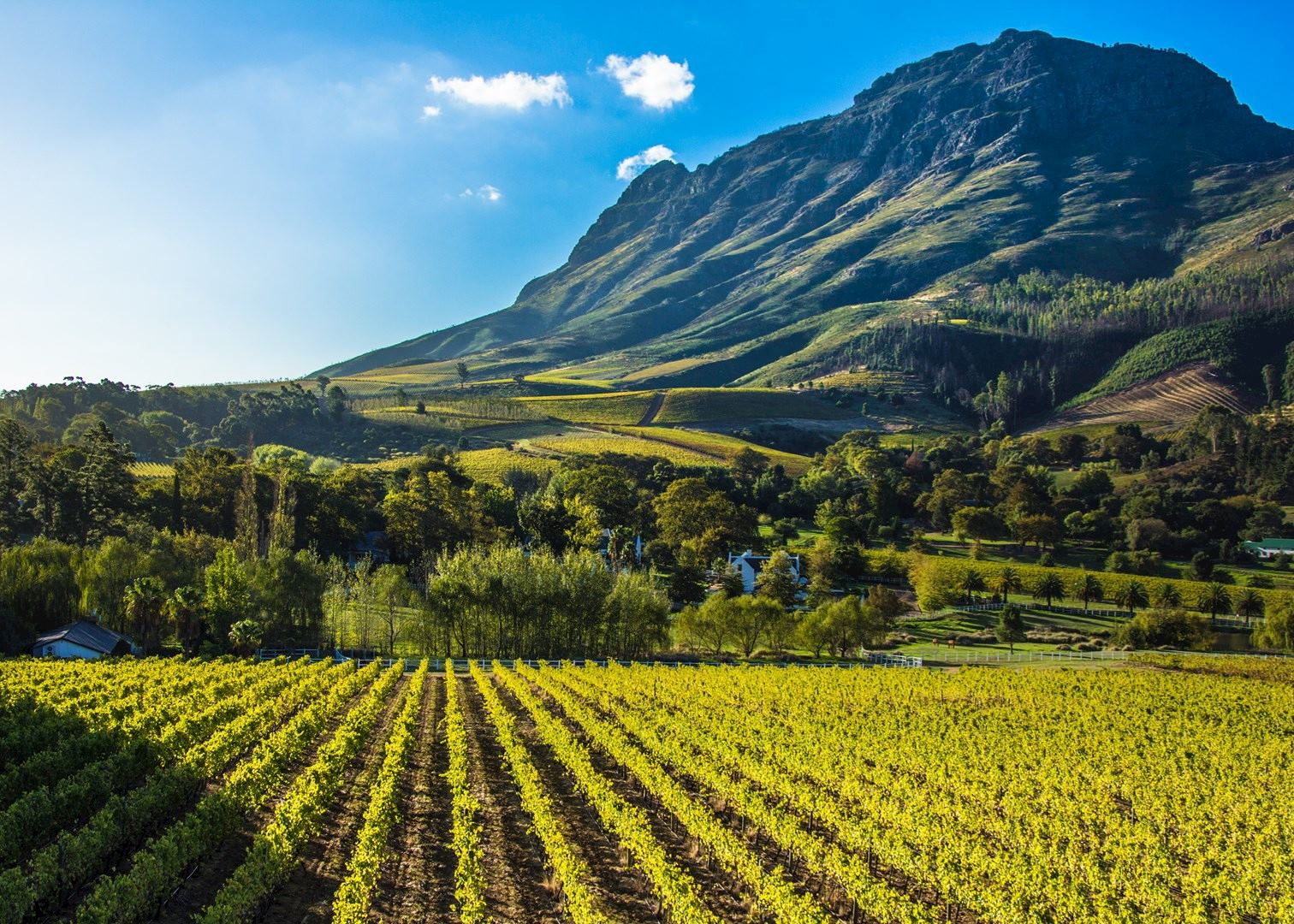 Visit The Winelands on a trip to South Africa | Audley Travel