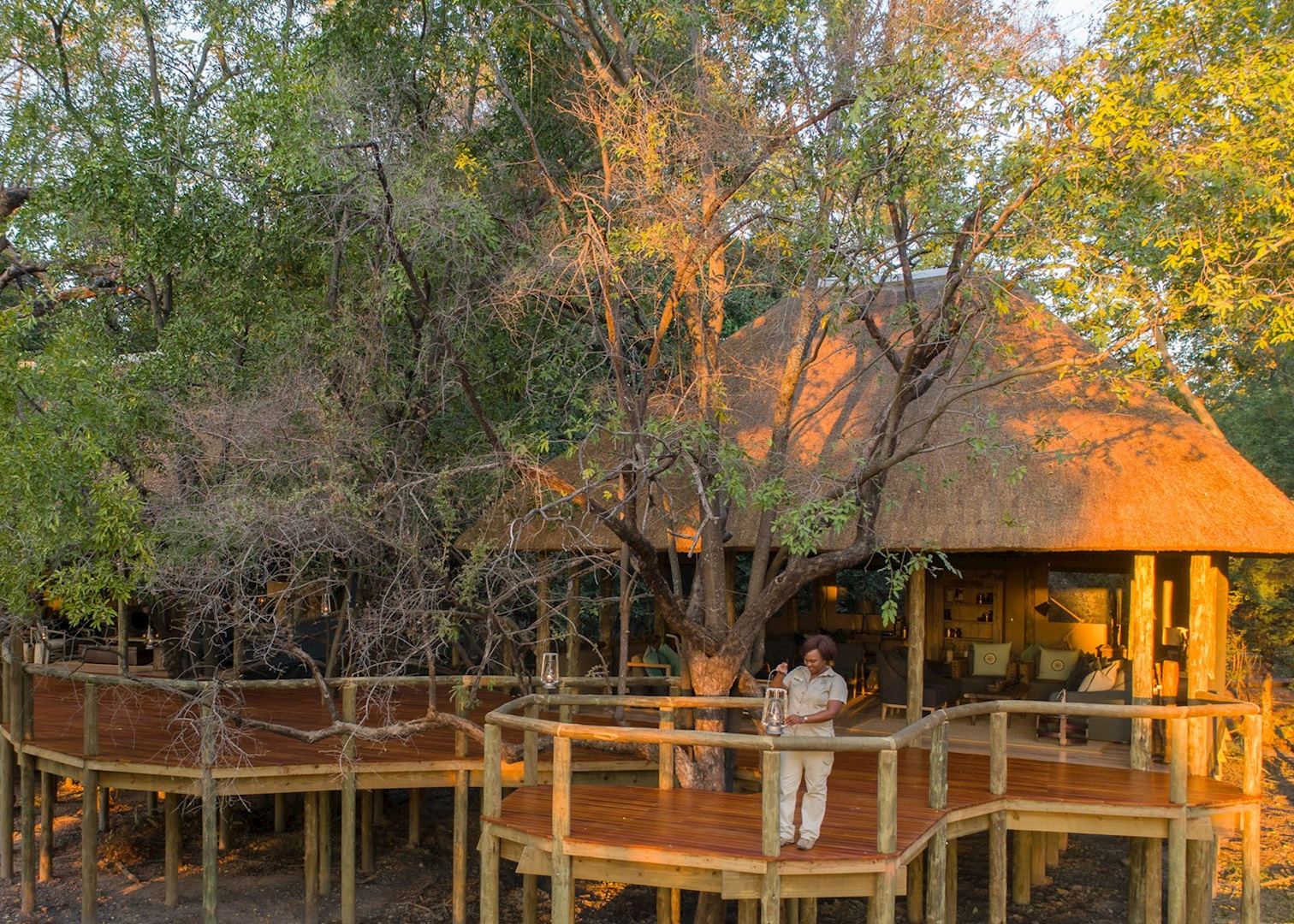Camp Moremi Moremi Wildlife Reserve Audley Travel