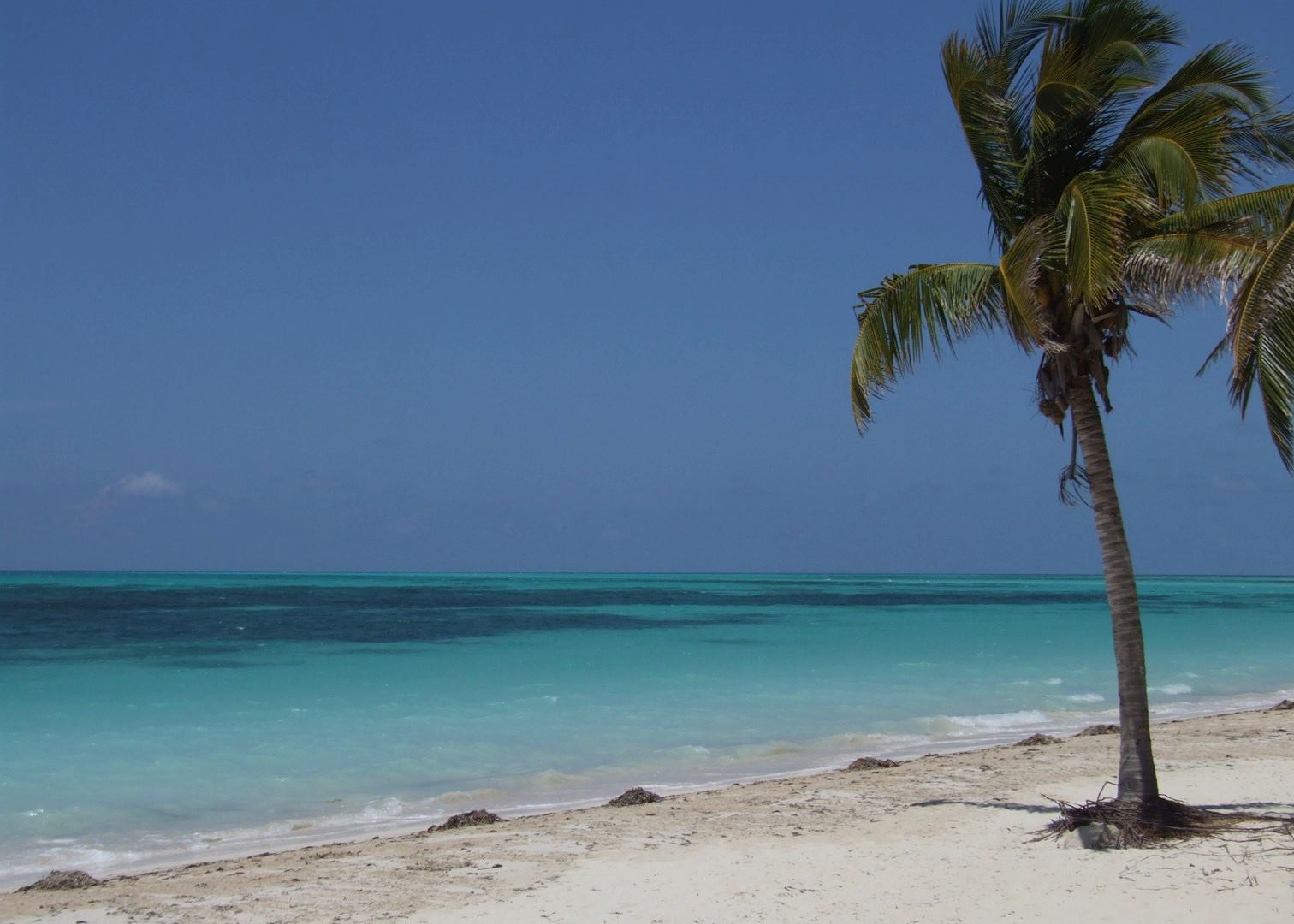 Visit Cayo Levisa on a trip to Cuba | Audley Travel